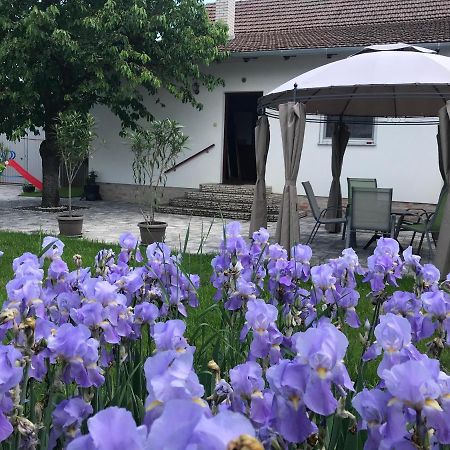 Eden Apartman Algyo Zewnętrze zdjęcie